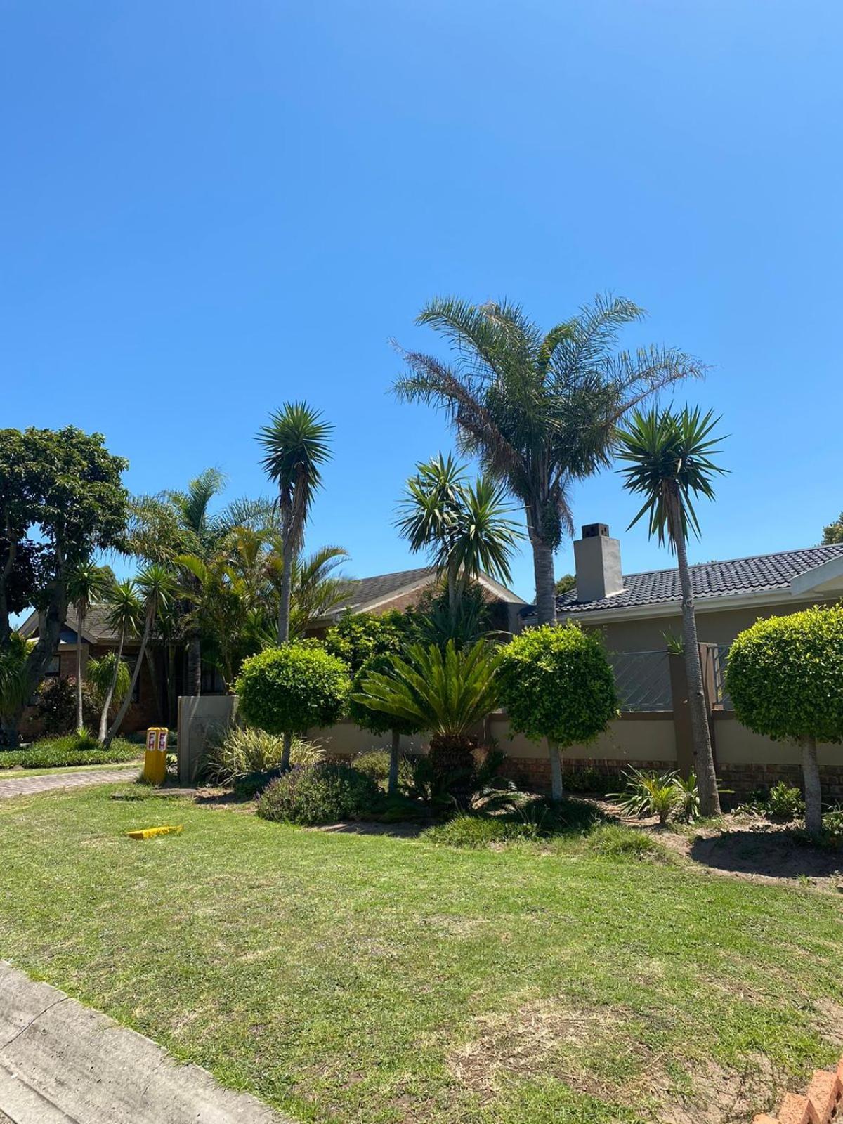 Tree Haven Hotel Port Elizabeth Exterior photo